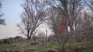 Глава 12